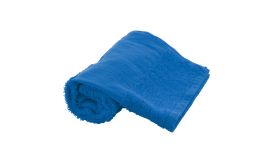 Terry S, prosop - 30x50 cm, albastru
