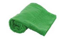 Terry S, prosop - 30x50 cm, verde